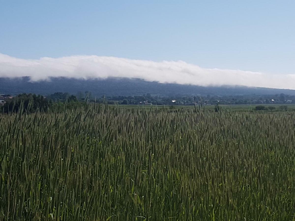 Mendokowe Ranczo Villa Gorno-Parcele Dış mekan fotoğraf